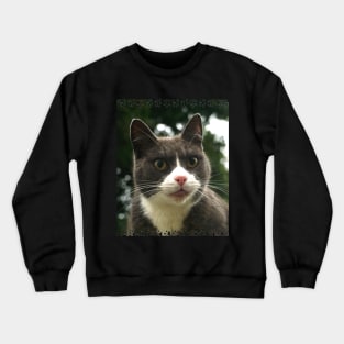 Midnight Crewneck Sweatshirt